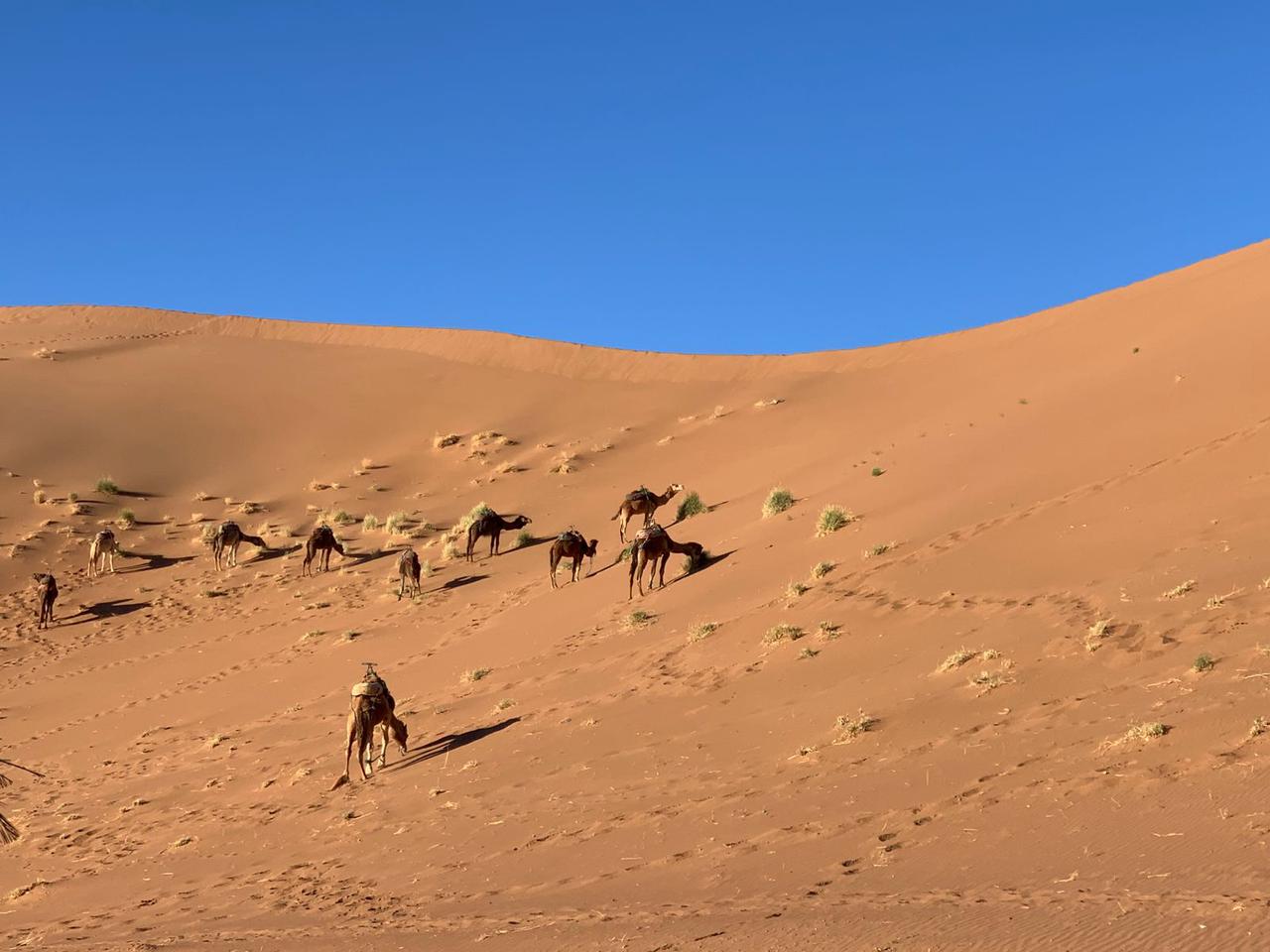 Auberge Sahara Mhayaoui experience hébergement