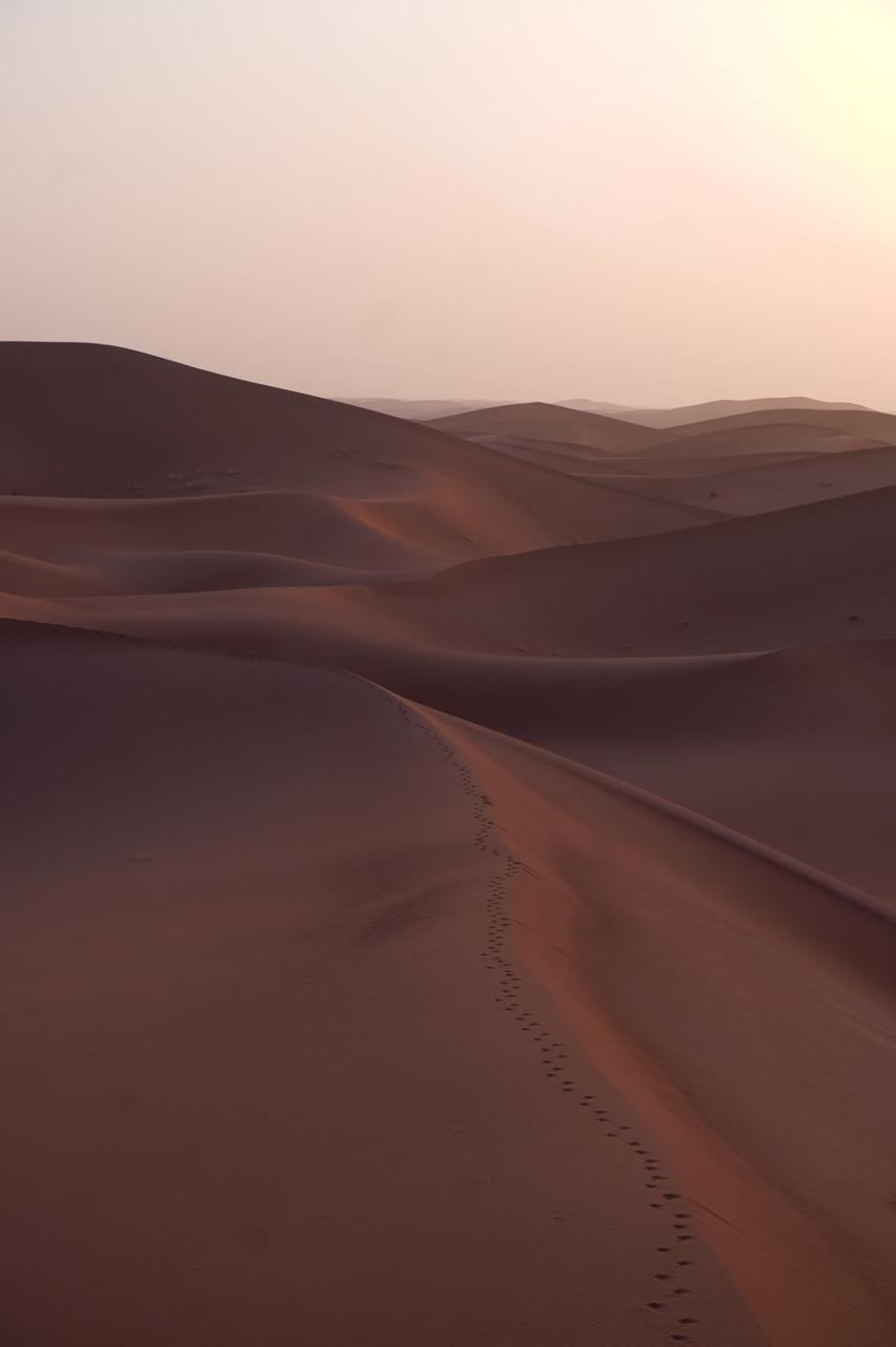 Traditions sahraouïes