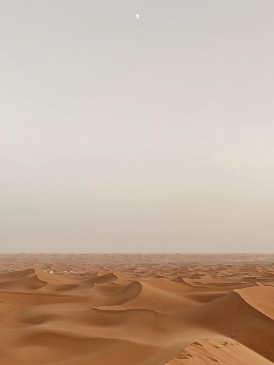 Terrasse auberge palmeraie