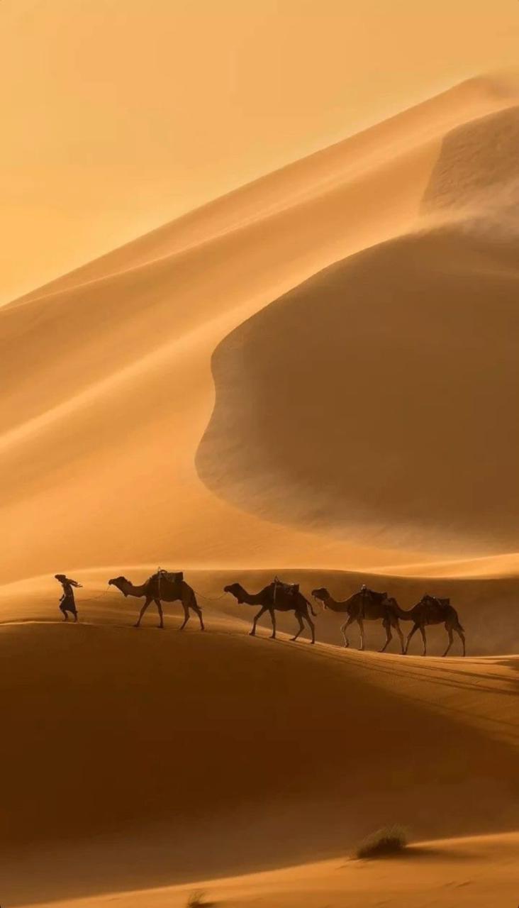 Trek sur mesure désert