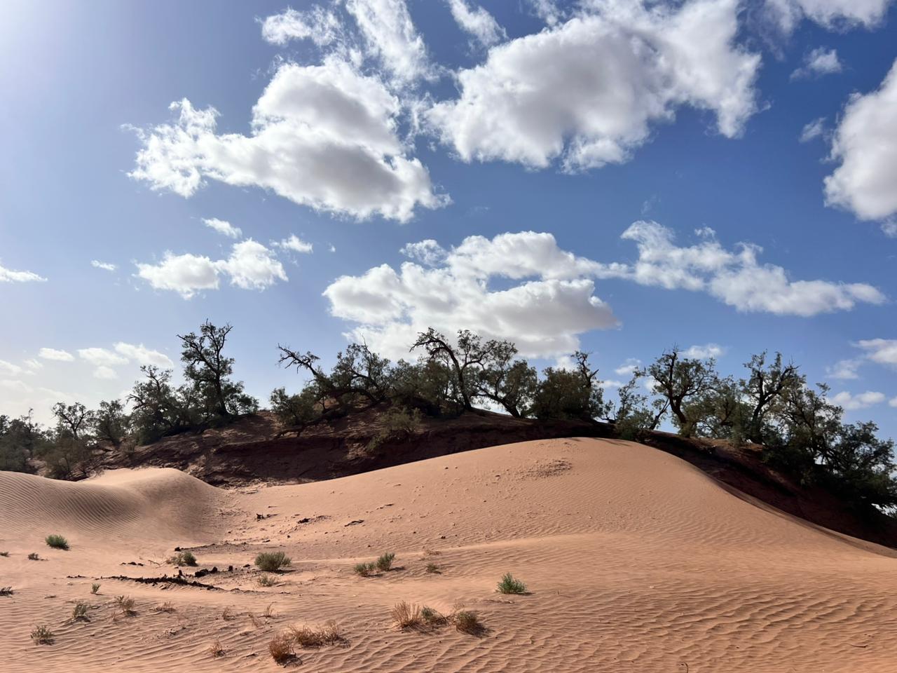 Excursion 4x4 Erg Chigaga