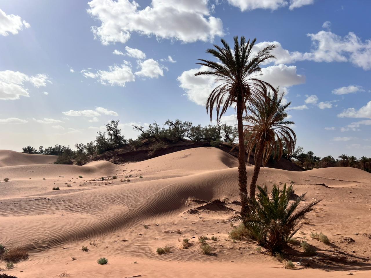 Auberge Sahara Mhayaoui experience vue principale